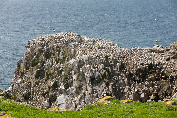 Ireland May 2016 (38)